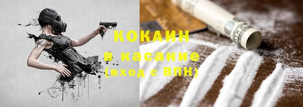прущие грибы Красноперекопск