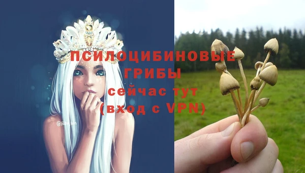 винт Елабуга