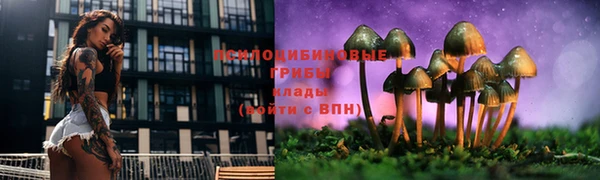 ешки Краснотурьинск