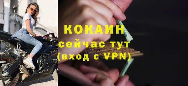 ALPHA PVP Ельня