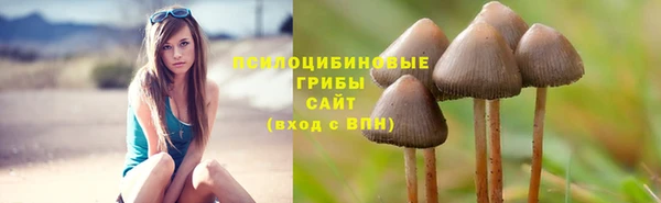 скорость mdpv Кукмор