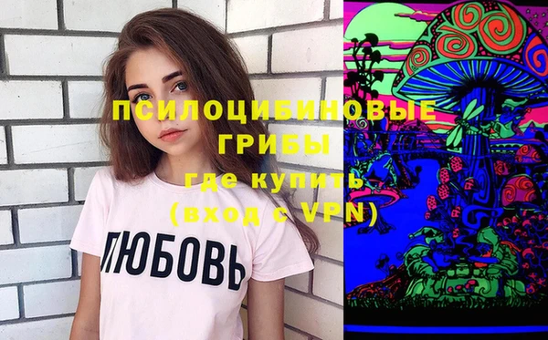 прущие грибы Красноперекопск