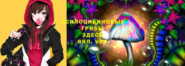 прущие грибы Красноперекопск